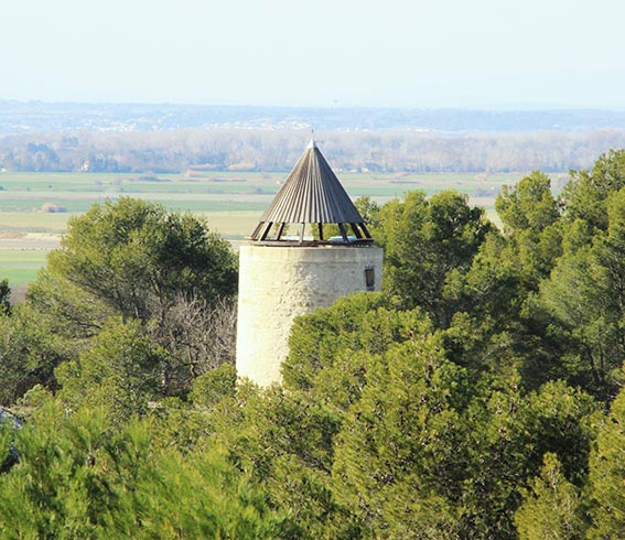 Vue sur une tour au milieu d'une forêt